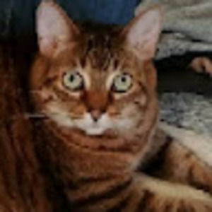 Meet your Posher, Crystal